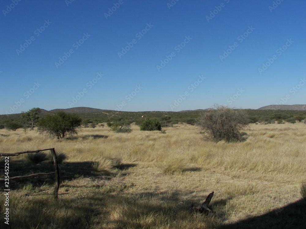 Fototapeta premium Afrika Reisen