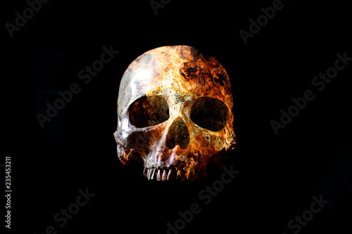 Head skull in flame on dark black background.