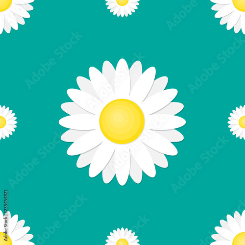 Seamless pattern with chamomile. Vector illustration.