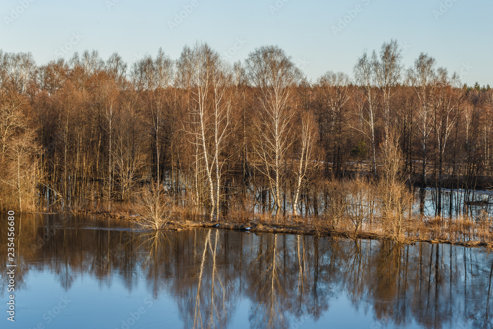 Fototapeta premium River bank and forest flooded during high water in March