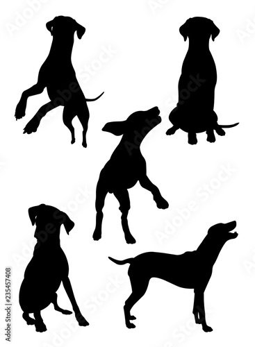 Dalmatian dog pet animal silhouette 03. Good use for symbol, logo, web icon, mascot, sign, or any design you want.