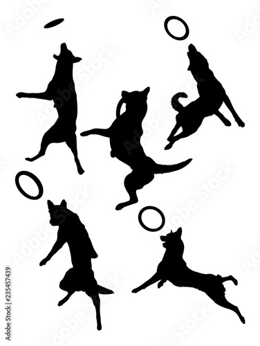 Belgian shepherd dog pet animal silhouette 01. Good use for symbol, logo, web icon, mascot, sign, or any design you want.