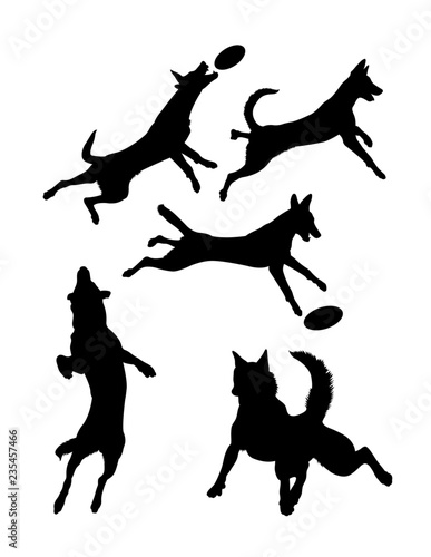 Belgian shepherd dog pet animal silhouette 02. Good use for symbol, logo, web icon, mascot, sign, or any design you want.