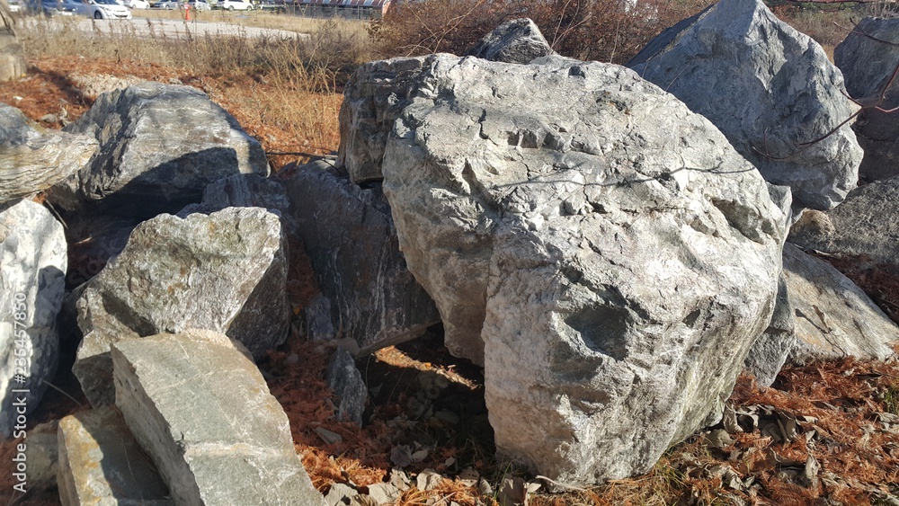 Close up of Large stones or rock settled in between green tree