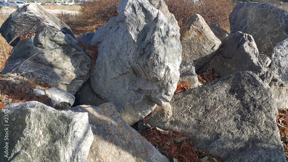Close up of Large stones or rock settled in between green tree Close up of Large stones or rock settled in between green tree