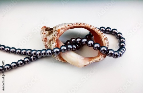 Black pearl and shell