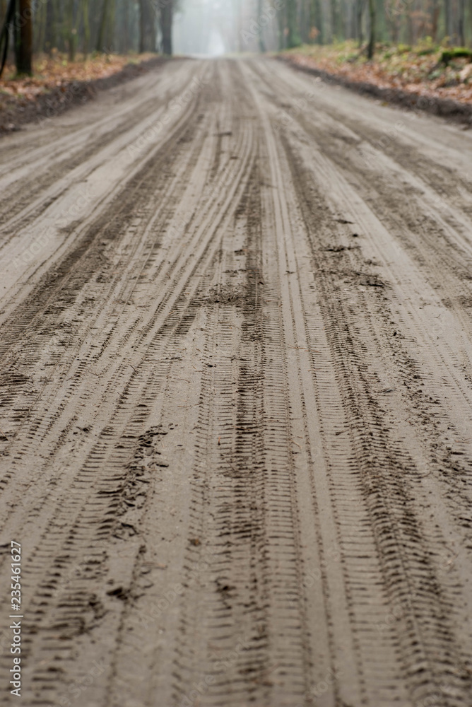 Naklejka premium car tyre traces on muddy dirt road