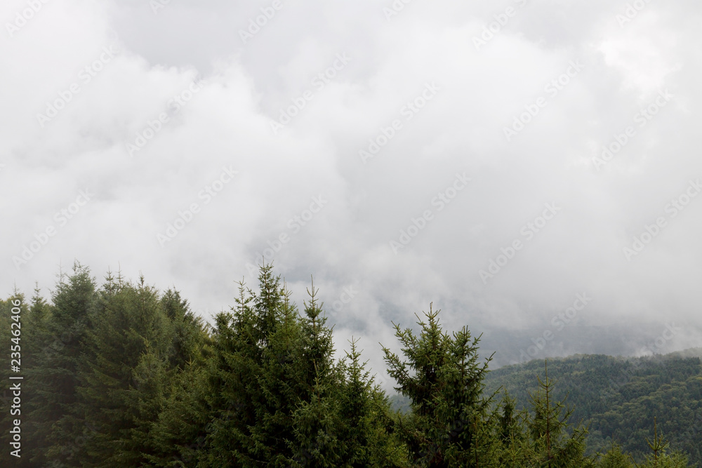 A cloud coverage in the Vosges Mountains, view from above A cloud coverage in the Vosges Mountains, view from above