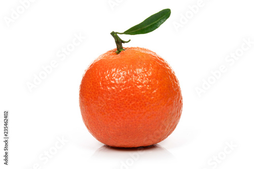 Single perfect orange or tangerine fresh fruit with leaf on a white background in close-up