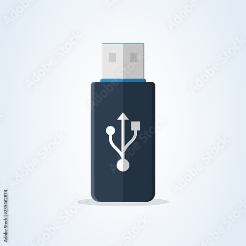 vector usb memory drive. digital flash stick flat