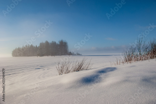 Winter sunny day on Lake Vodlozero in the Vodlozersky National Park in Karelia  Russia 
