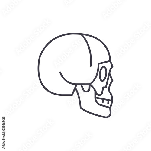 Skull side view line icon concept. Skull side view vector linear illustration, sign, symbol