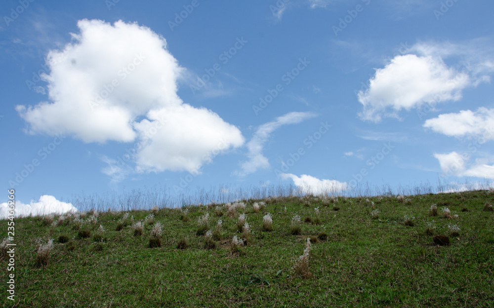 Obraz premium paisagens