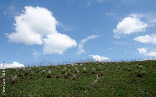 paisagens
