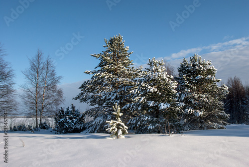 Winter sunny day on Lake Vodlozero in the Vodlozersky National Park in Karelia (Russia)