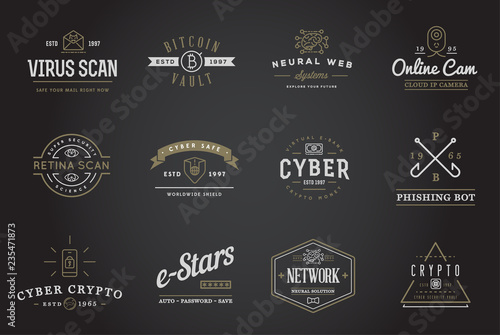 Set of Vector Cyber Security Identity Badges and Signs Can be used as Logotype