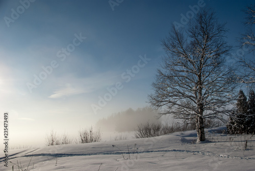 Winter sunny day on Lake Vodlozero in the Vodlozersky National Park in Karelia (Russia)