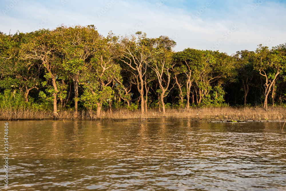 Obraz premium Kambodscha - Angkor - Siem Reap - Ufer des Tonle Sap