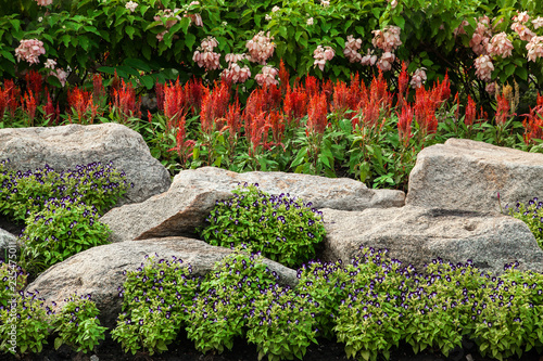 garden decorate 