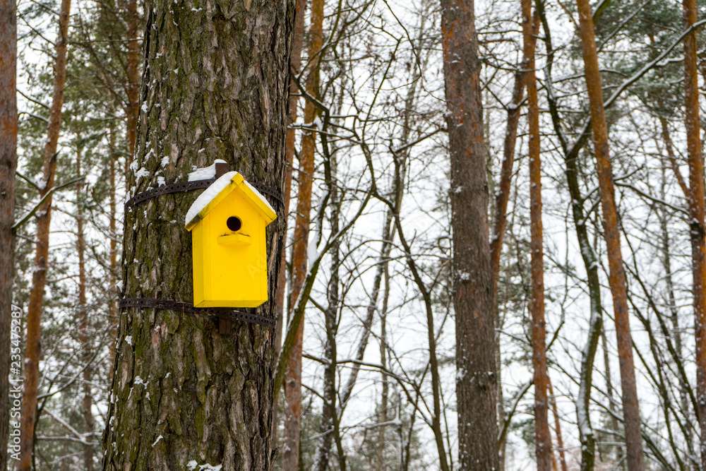 Birdhouse in winter. The snow on the birdhouse. Place for your text. Birdhouse in winter. The snow on the birdhouse. Place for your text.