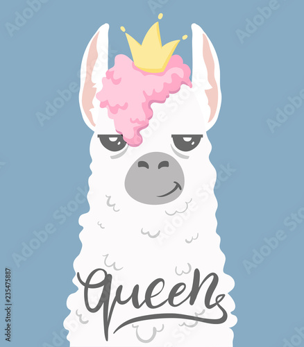 cute cartoon lama alpaca with unique hand drawn lettering - queen.Vector Illustration. unique design for cards, posters, t-shirts, invitations