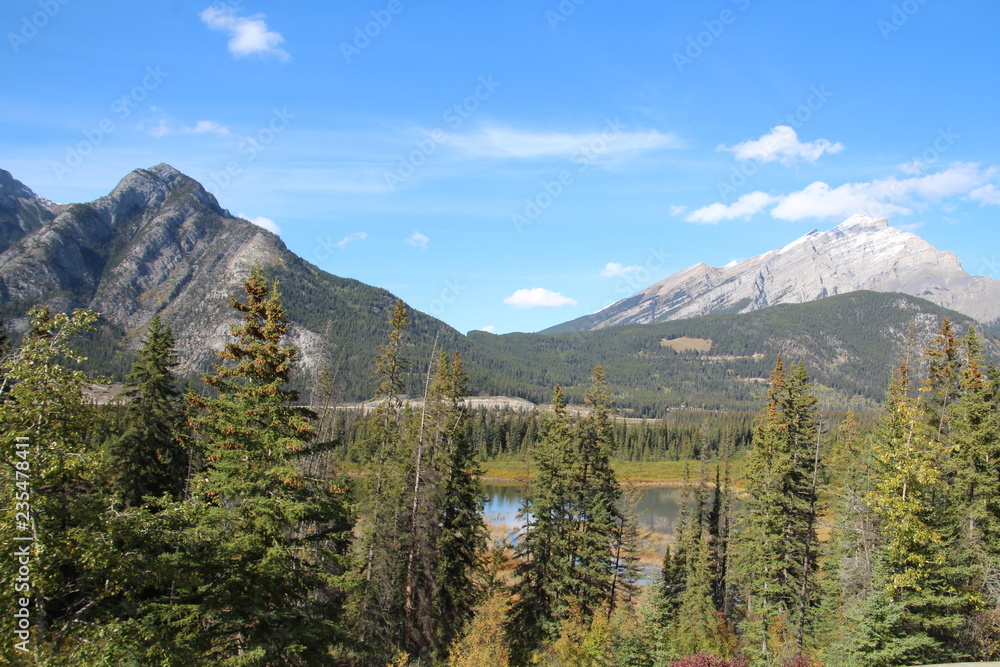 Looking Out On The Landscape, Banff National Park, Alberta