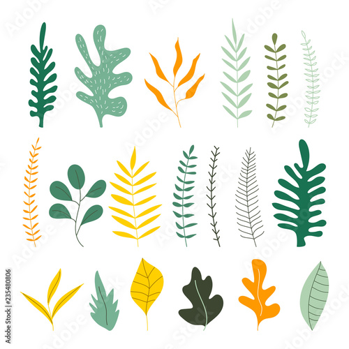 Set of hand drawn uneven herbs and leaves. Isolated vector illustration.