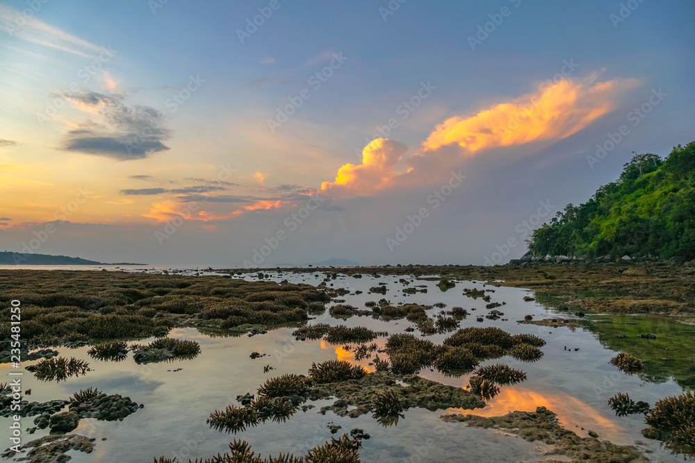 scenery sunrise above the coral reef. coral reef emerges from the water at a reduced water level..during low tide we can see a lot of coral reef and marine fishes around Rawai beach Phuket island.
