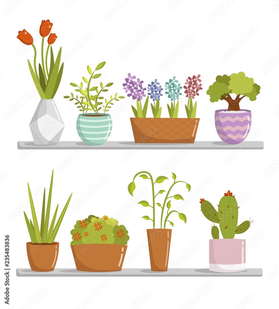 Big set cartoon room plant floral elements vector illustration