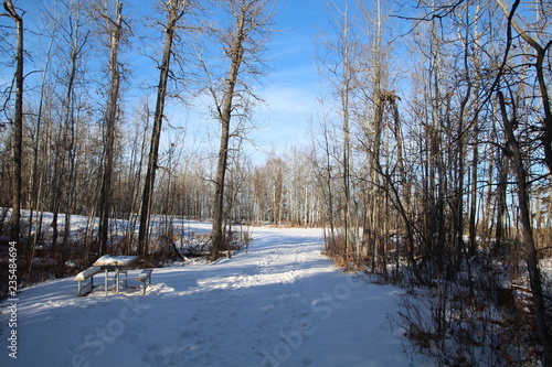 Snowy Trail, Elk Island National Park, Alberta