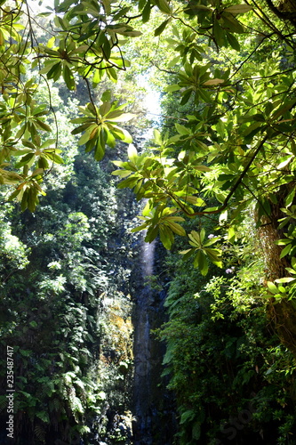 Waterfall at the 25 fountains tour  Madeira  Portugal