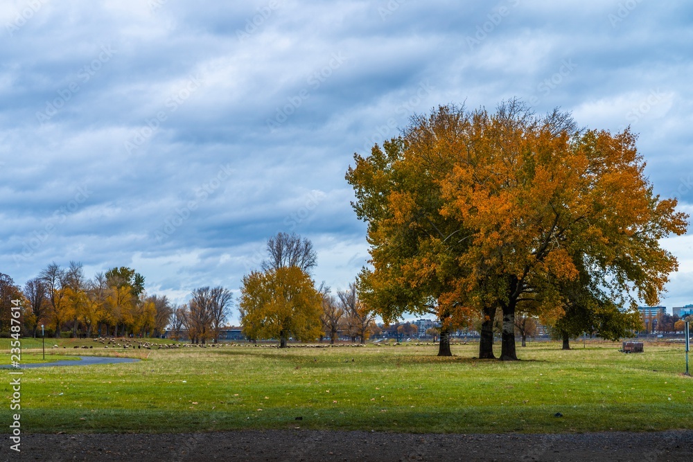 Naklejka premium Dusseldorf