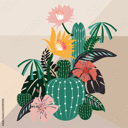 Different types of cactus plants vector