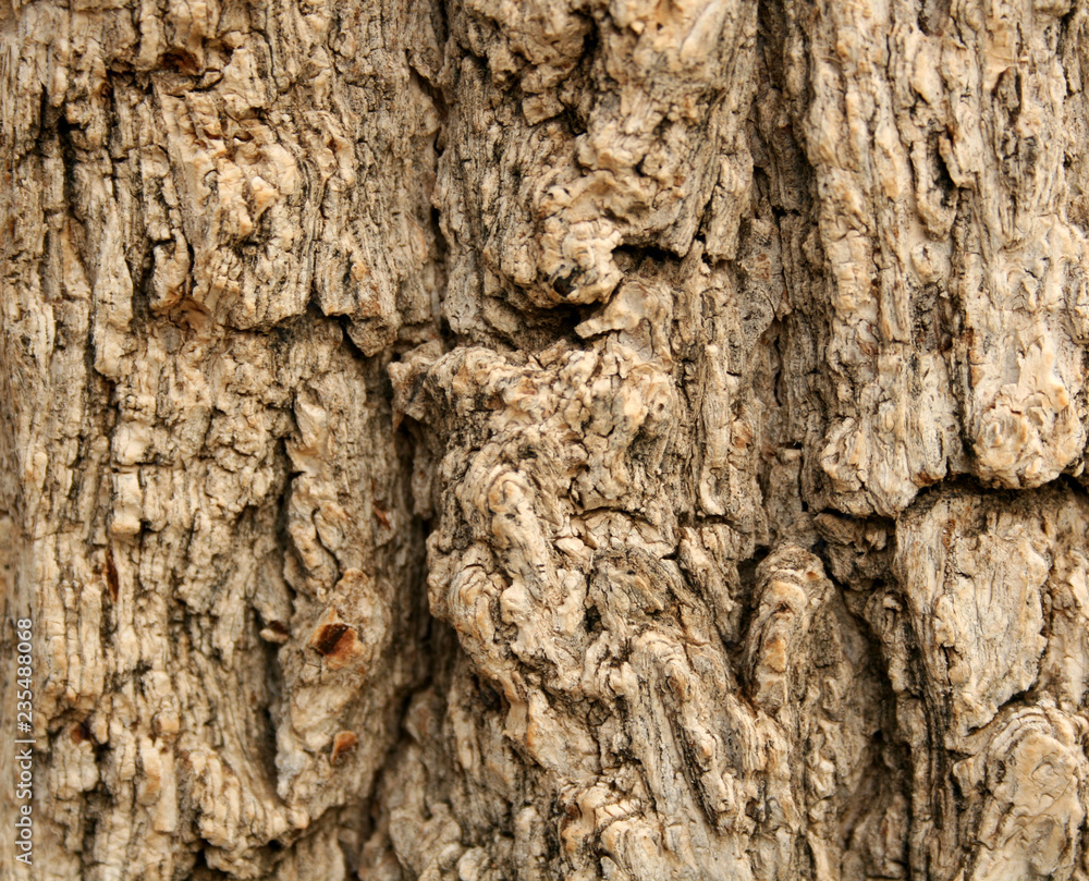 TEXTURES 4 TEXTURES 4