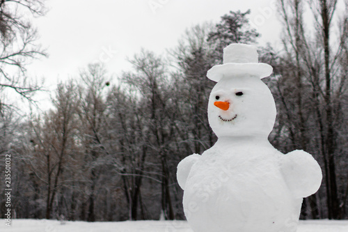 Fotografía Sculpture of snow