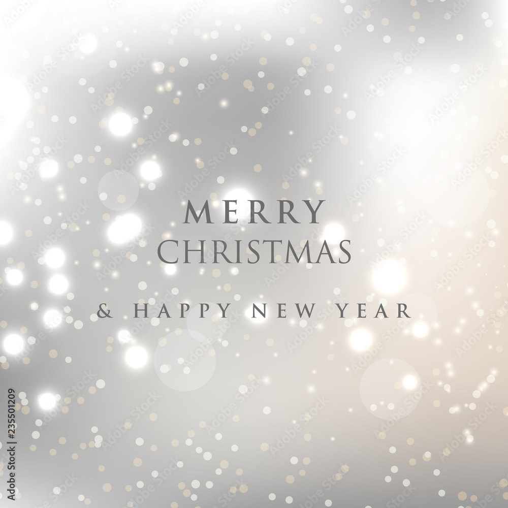 Fototapeta premium Merry Christmas and happy new year. 2019. Flat vector illustration