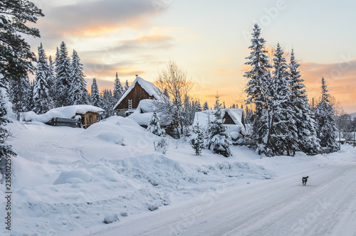 Siberian village in winter at sunset, at houses near the forest, no people, the dog is running along the road, Mountain Shoria, Siberia, Russia
