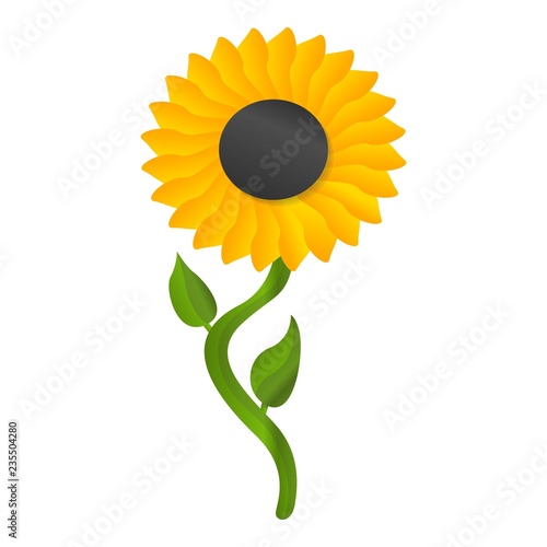 Sunflower icon. Cartoon of sunflower vector icon for web design isolated on white background