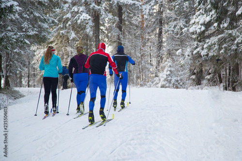 Cross-country skiing in winter