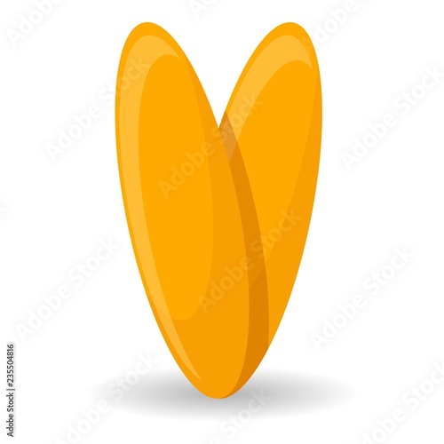 Risoni pasta icon. Cartoon of risoni pasta vector icon for web design isolated on white background photo