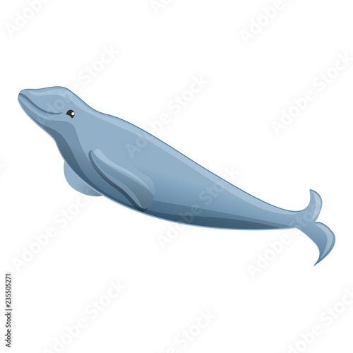 Minke whale icon. Cartoon of minke whale vector icon for web design isolated on white background photo