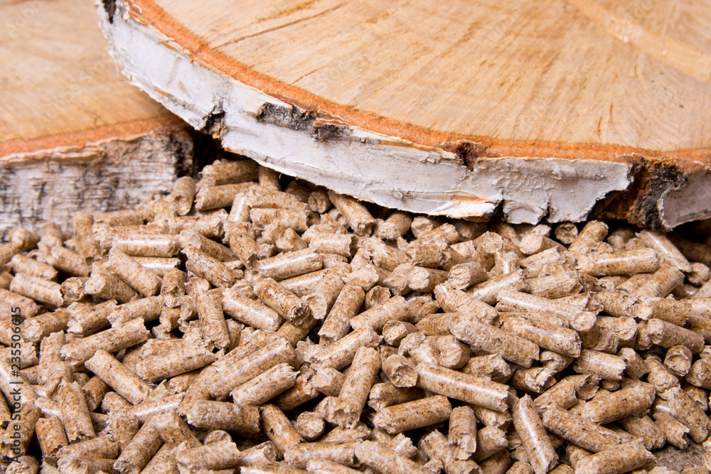 Wood pellets and birch close up .Wooden pallet biofuel. Biomass  Pellets-cheap energy. The cat litter. Stock Photo | Adobe Stock