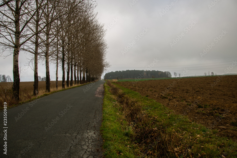 road in the fog