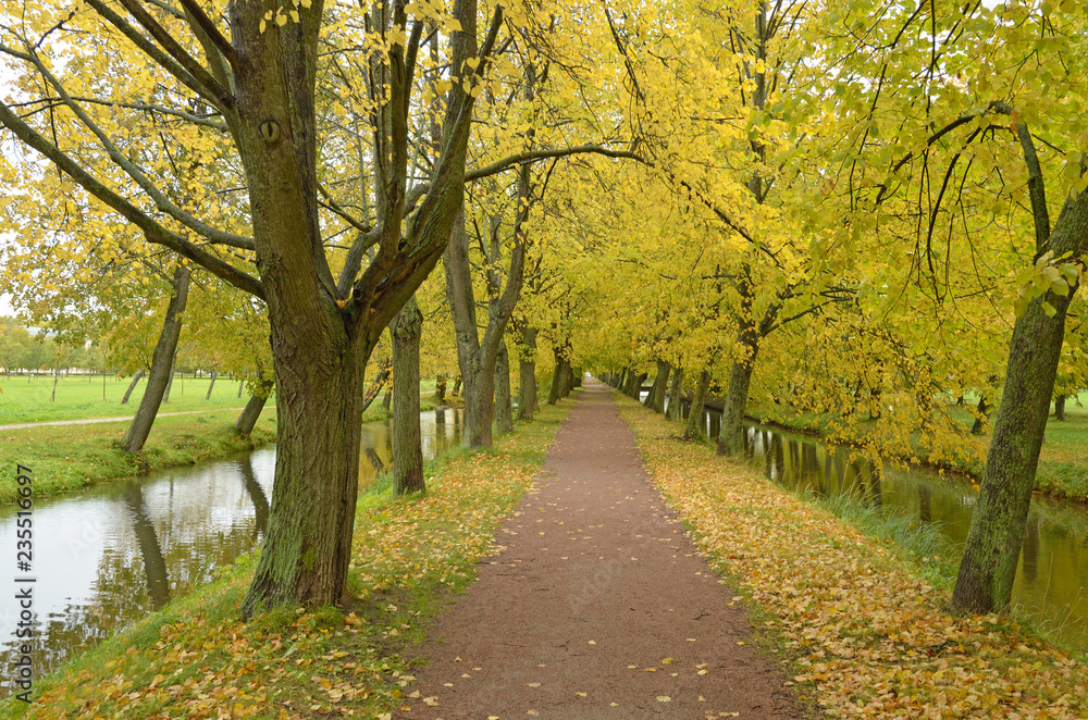 Fototapeta premium Autumn landscape in the Park.