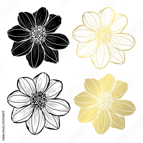 Fototapeta Naklejka Na Ścianę i Meble -  golden floral decoration