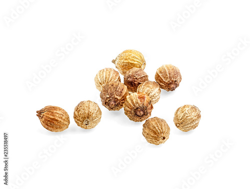 Dry coriander seeds isolated on white background, closeup.