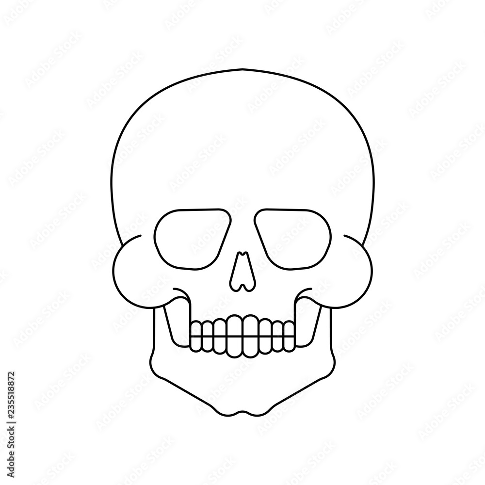 Skull isolated. Skeleton Head Vector Illustration. Scary symbol pirate and death
