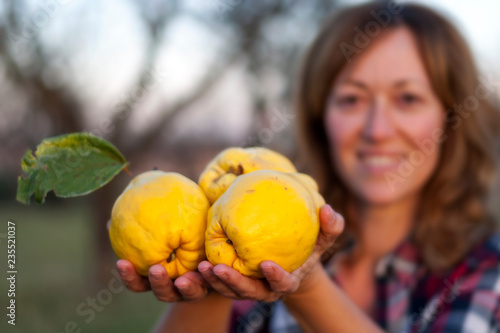Blonde woman with three quinces in her hand in the foreground, yellow and big, in a field with trees, dressed in a red and white plaid shirt.