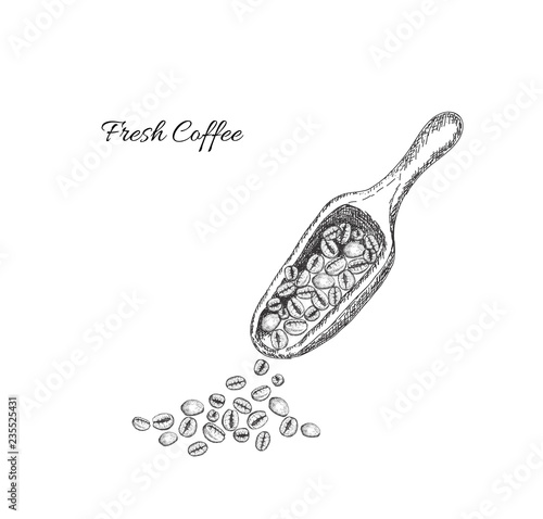 Scoop with coffee beans on the white background.