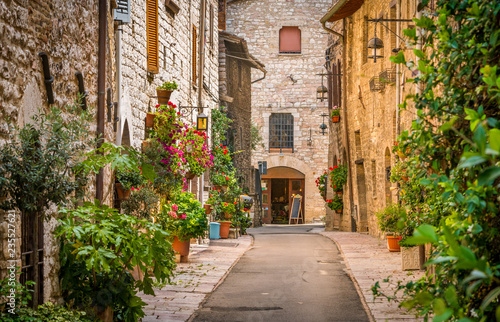 A picturesque sight in Assisi. Province of Perugia  Umbria  central Italy.